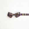Digital Piano Palette Bow Tie 🎹